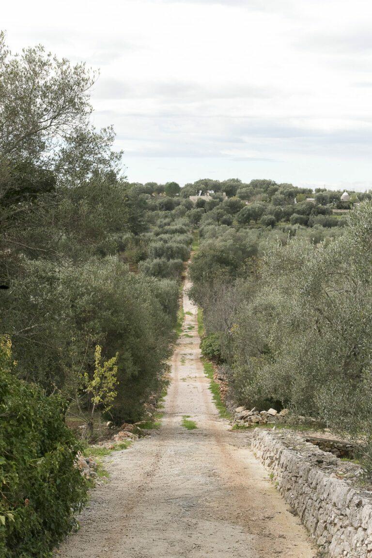 Lacinera, trulli e natura