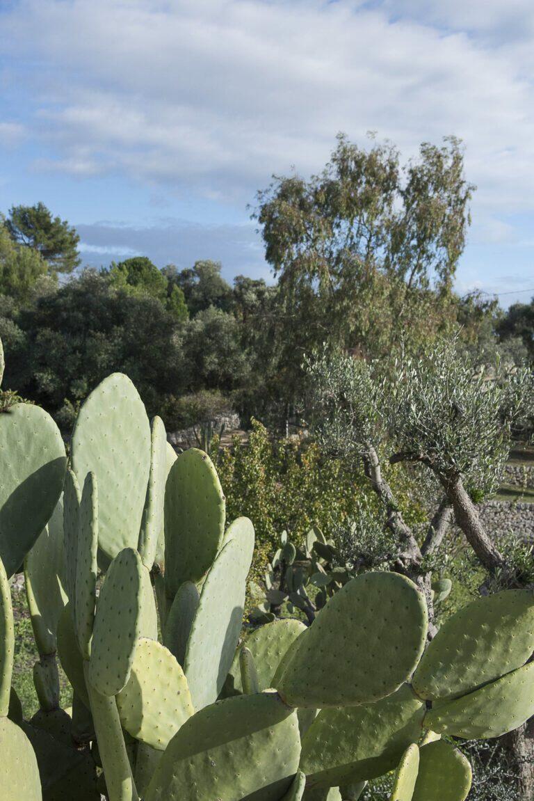 Lacinera, trulli e natura